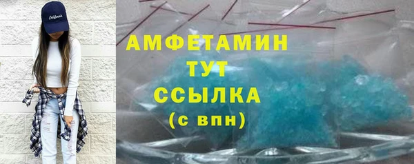 прущие грибы Медногорск