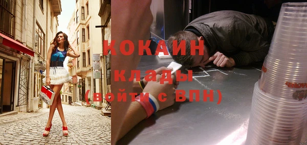 гашик Алзамай