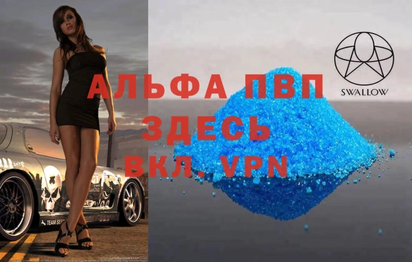 прущие грибы Медногорск