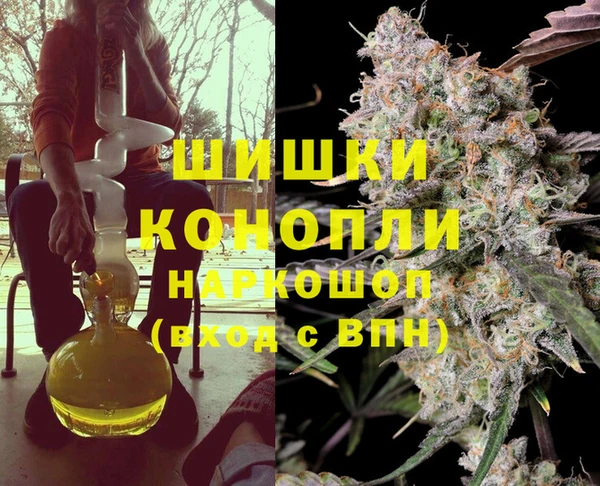 прущие грибы Медногорск