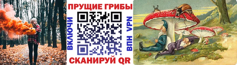 купить наркоту  Амурск  Псилоцибиновые грибы прущие грибы 